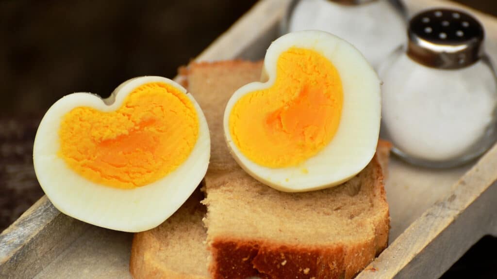 Cuisine : l’œuf dans tous ses états