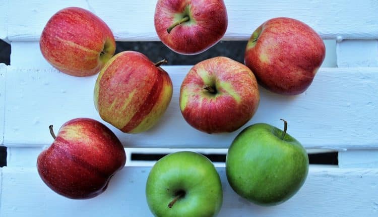 Pourquoi se rendre au marché pour les produits frais ?